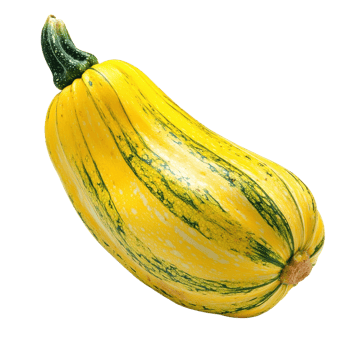 A single striped squash on transparent background. png