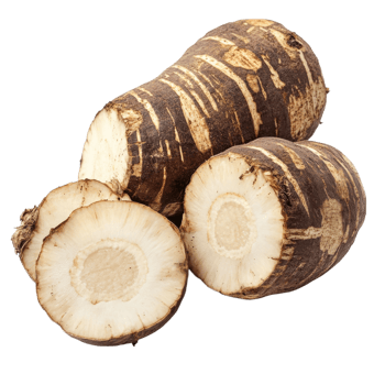 Cut raw horseradish root on transparent background. png