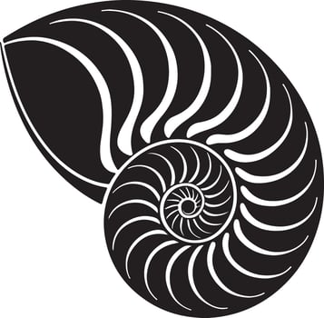 Elegant Black and White Nautilus Shell Illustration A Stunning Spiral Design for Ocean Lovers, Perfect for Nautical Themes and Artistic Decoration vector