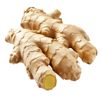 Ginger root close up shot on transparent background. png