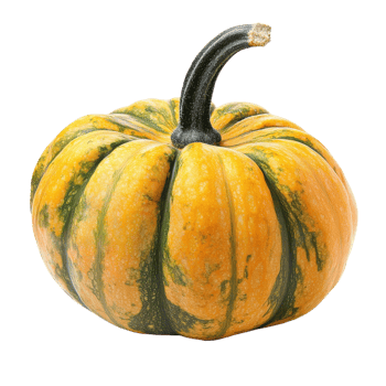 A yellow striped squash on transparent background. png