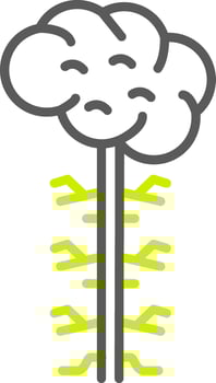 Nervous System Elegant Line Drawing vector
