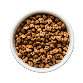 Dog food in white bowl isolated on transparent background png