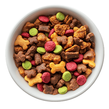 Colorful dog food in white bowl isolated on transparent background png