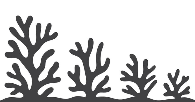 Abstract black and white stylized seaweed silhouettes vector