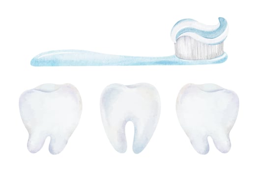 Toothbrush and three white teeth illustration vector