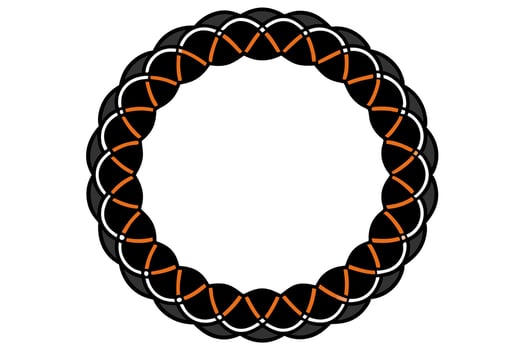 A black and orange oval with a border vector