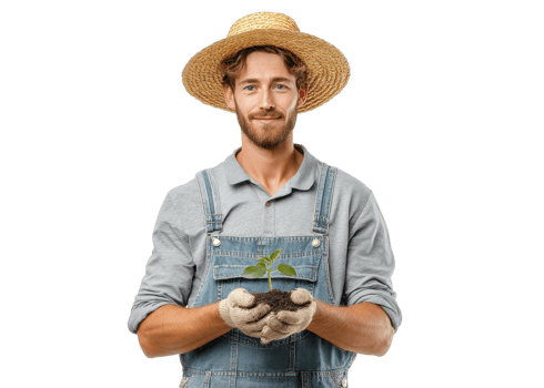 Smiling farmer in straw hat and overalls holding small plant seedling with soil in gloved hands, isolated on transparent background. Farming, growth, agriculture. png