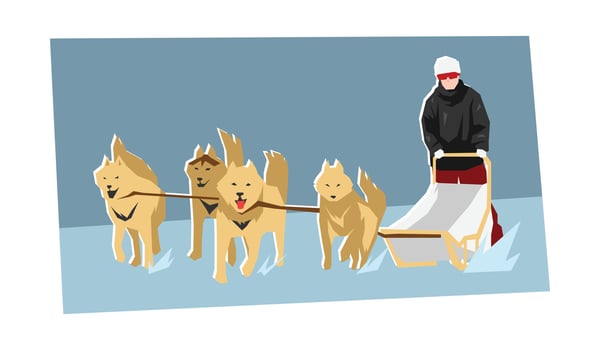 Sled dogs pulling a sled in snow vector