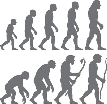 Gray Scale Human Evolution Silhouettes Progression Ape to Modern Man Walking Stages Anthropology Prehistoric History vector