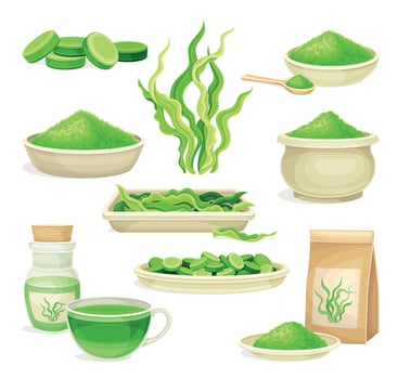 Spirulina dietary supplement set. Healthy eco product, antioxidant superfood illustration vector