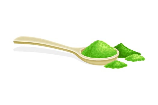 Spoon of spirulina powder. Organic dietary supplement, antioxidant superfood illustration vector