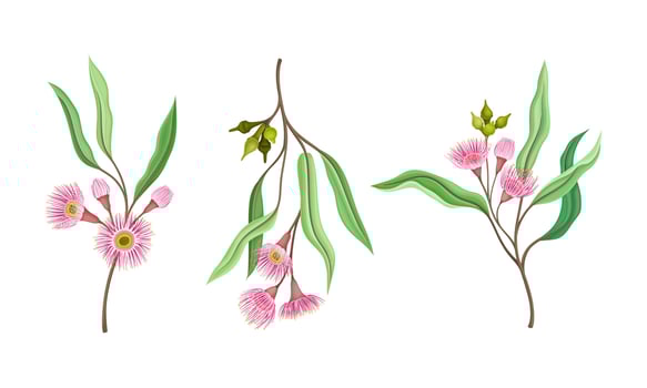 Beautiful pink flowers and green leaves set illustration vector