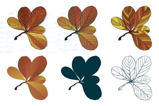 Hand-drawn autumn colored leaves isolated on white background. Flat line style illustration. vector