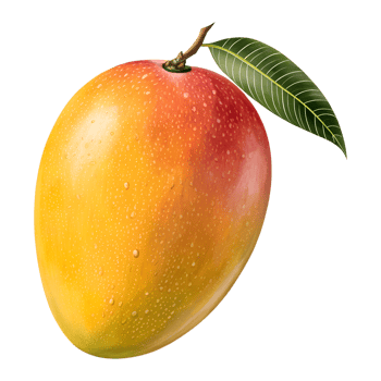 Fresh Cut Mango Fruit Clipart Isolated Transparent image png