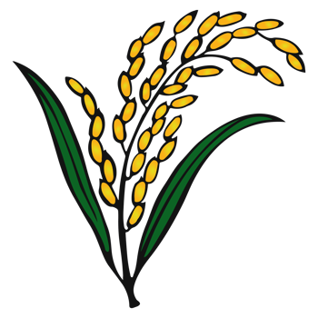 Bangladesh Nationalist Party Election High Quality Logo Icon Symbol Design for Political Branding png
