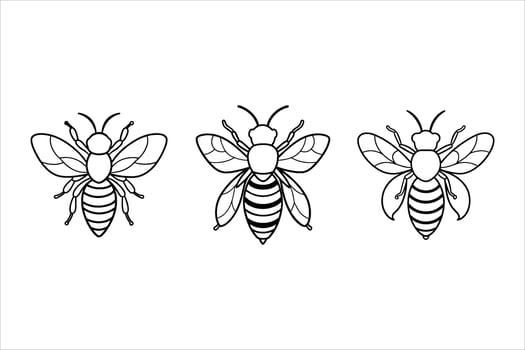 Three Black and White Bee Line Art Illustrations bees vector