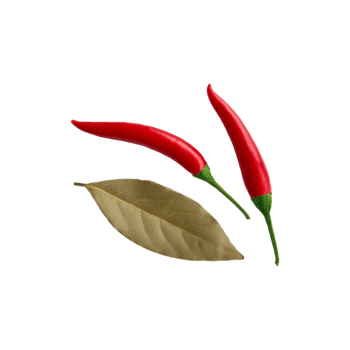 Red chili with dried bay leaf on transparent background png