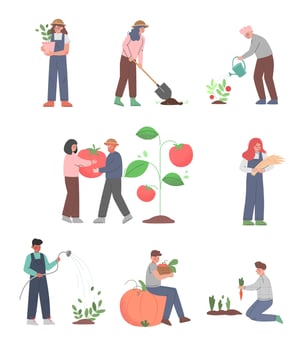 Farmers Working on Farm or Garden Set, Agricultural Workers or Gardeners Growing Vegetables and Harvesting, Eco Farming Concept Cartoon Style Illustration vector