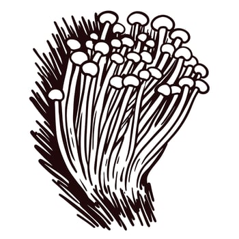 Cluster of enoki mushrooms with delicate stems and caps in black and white vector