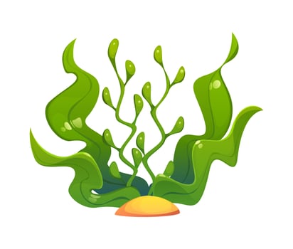 Cartoon green seaweed plant with green leaves vector