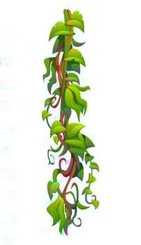 Vertical tropical jungle rain forest liana vine vector