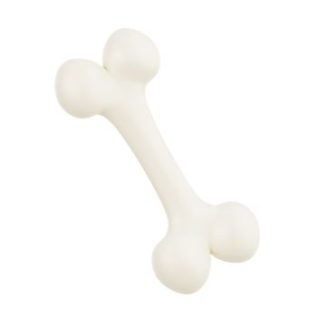 bone human organ png
