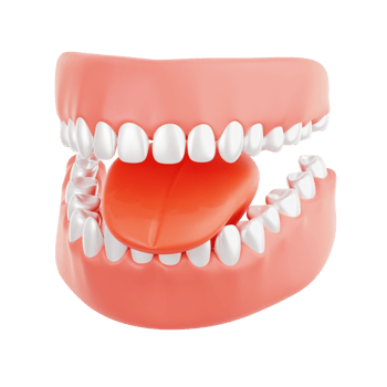 mouth human organ png