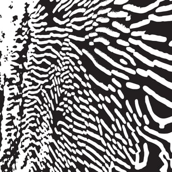 Abstract black and white line pattern background featuring dynamic flowing shapes perfect for modern designs posters digital prints wallpapers branding and creative projects vector