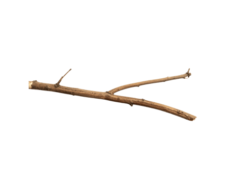Dry Brown YShaped Twig with Rough Texture and Small Branches. png