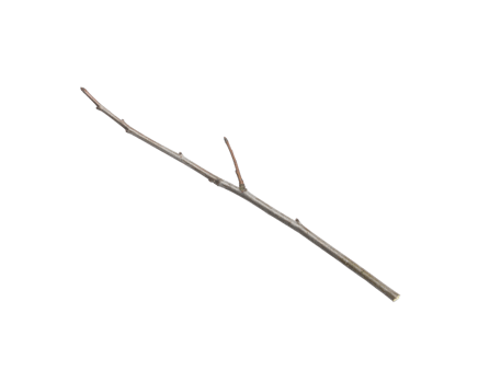 Slender GreyBrown Twig with Small Branch Isolated. png