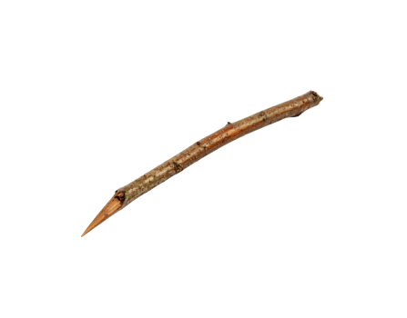 Sharpened Twig Brown and Gray Pointed End Natural Texture. png