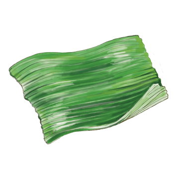 One flying banana leaf. Textured leaf hand drawing illustration. png