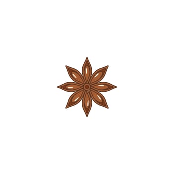 Star Anise Pod Spice vector