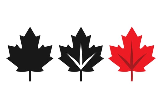 Symbolic Trio Black Outline Maple Leaf, Veined Black, and Solid Red Graphics vector