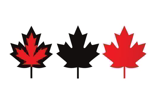 Stylized Red and Black Maple Leaf Design Canadian Symbols Isolated vector