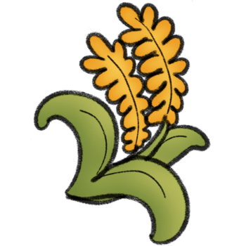 Organic paddy rice png