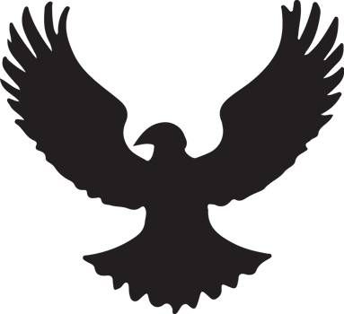Silhouette design of eagle in flight. png