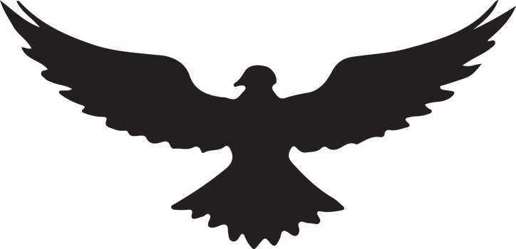 Silhouette design of eagle in flight. Clip art of birds of prey in black color. png