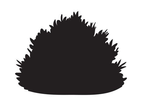 Black silhouette of a bush isolated on white background, graphic illustration. concept of nature, plant, garden, ornamental foliage, floral design element, natural decoration. vector