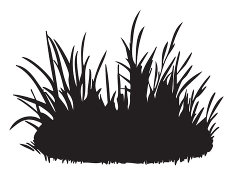 Black silhouette of grass patch, isolated on white background, graphic illustration. concept of nature, plant element, garden decor, landscape design, organic forms vector