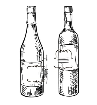 set of wine, hand drawn in ink. sketch illustration of wine styles in vintage engraved style vector