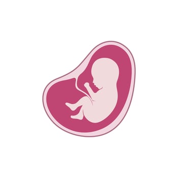 icon illustration of baby fetus in womb vector