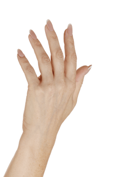 Beautiful female hand isolated png
