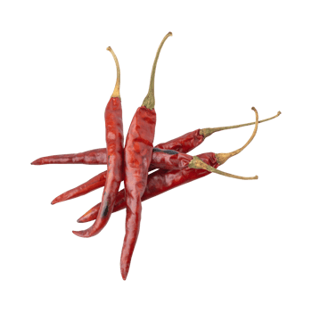 Dry red hot chili peppers isolated on transparent background png