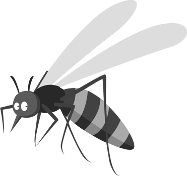 Black mosquito illustration png