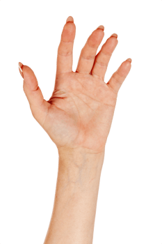 Closeup of beautiful female hand isolated png