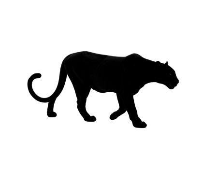 Majestic Black Panther in Side Profile Walking Gracefully. png