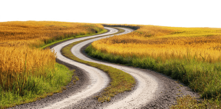Scenic dirt road curving through golden yellow fields and green meadows png