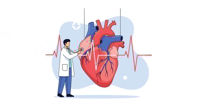 Doctor Examining Heart Health and Cardiovascular System Important for Healthy Living and Medicine vector